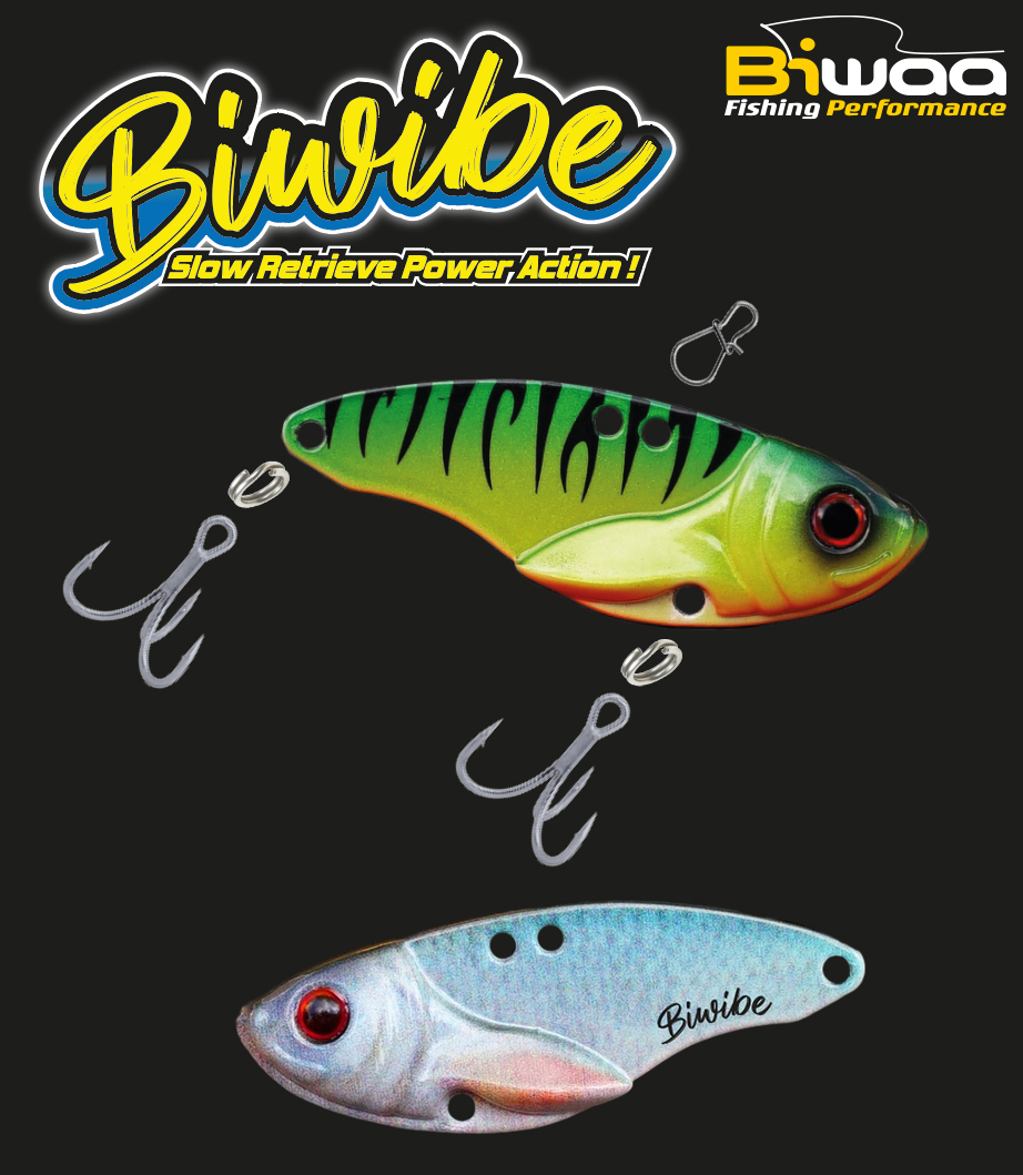 BIWAA BIWIBE BLADE 7gr #CT38 Roach